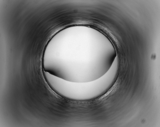 X0000103431417200810101032