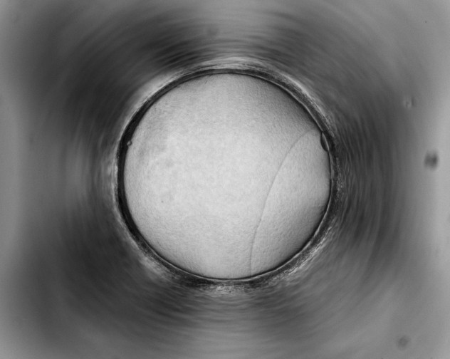 X0000103431418200810101032