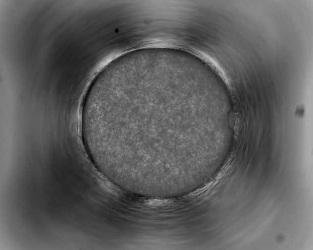 X0000103431419200810101032