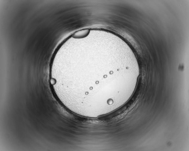 X0000103431420200810101032
