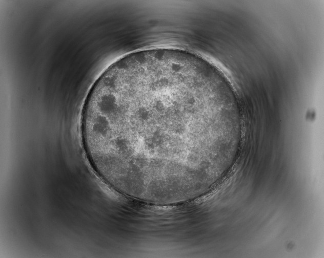 X0000103431423200810101032