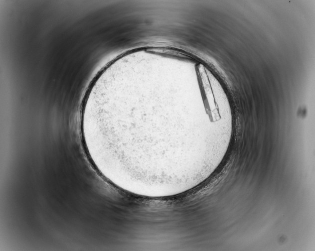 X0000103431424200810101032