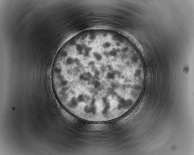 X0000103431425200810101032