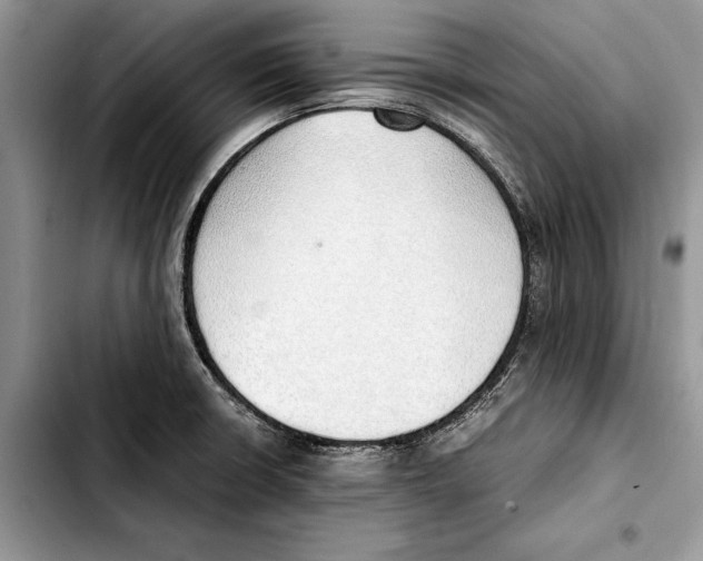 X0000103431426200810101032