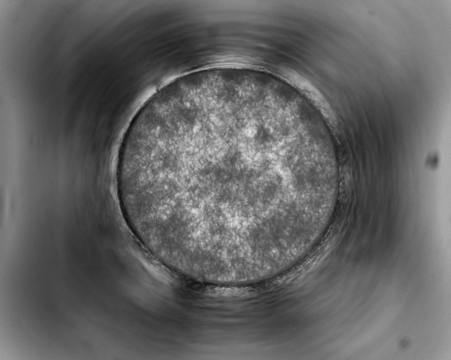 X0000103431427200810101032