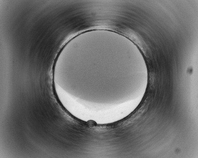 X0000103431428200810101032