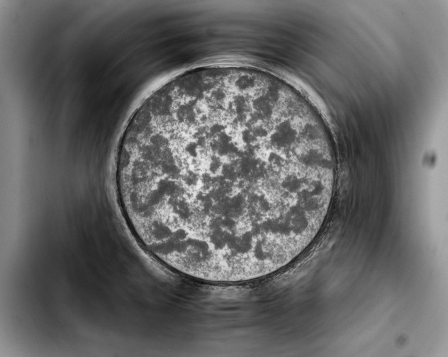 X0000103431429200810101032