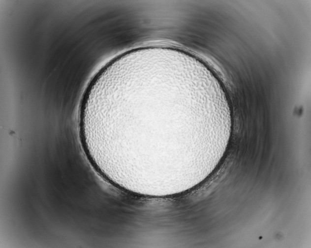 X0000103431430200810101032