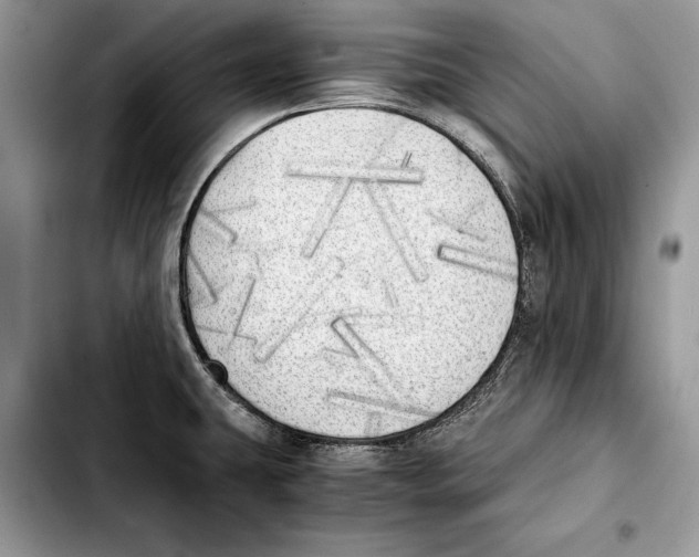 X0000103431431200810101032