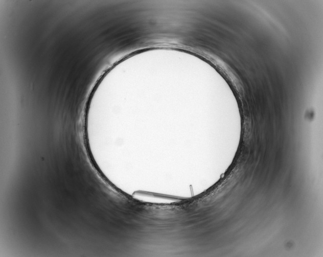 X0000103431432200810101032