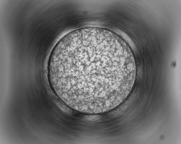 X0000103431435200810101032
