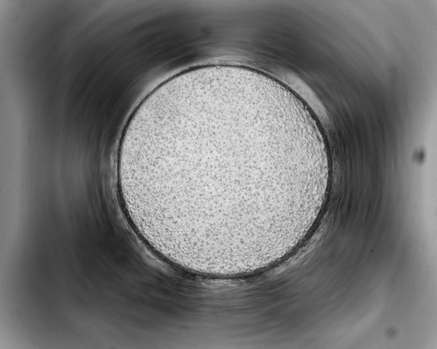 X0000103431436200810101032