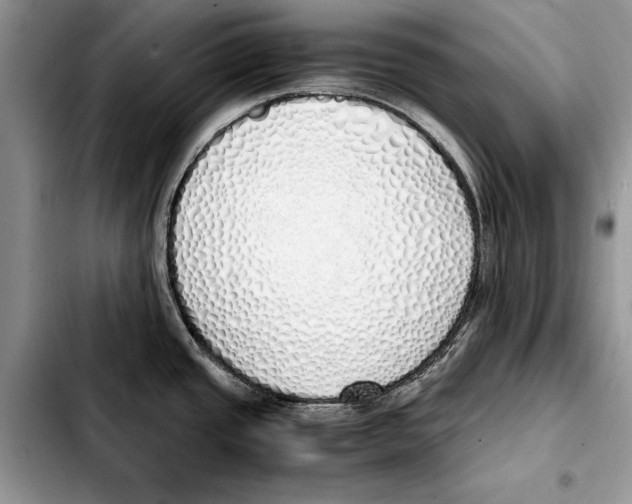 X0000103431437200810101032
