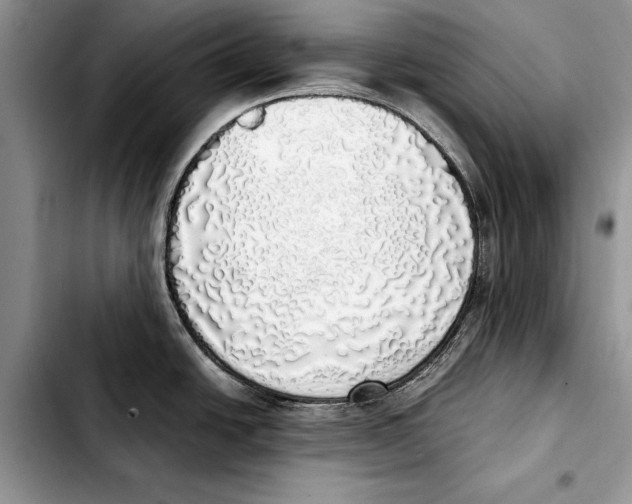 X0000103431438200810101032