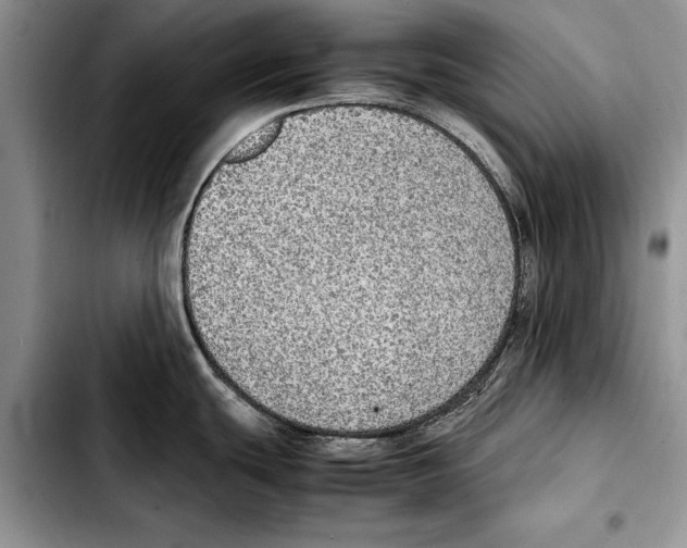 X0000103431439200810101032