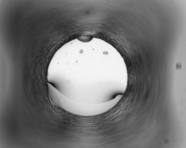 X0000103431441200810101031