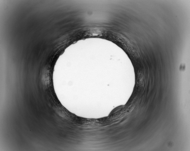 X0000103431442200810101031