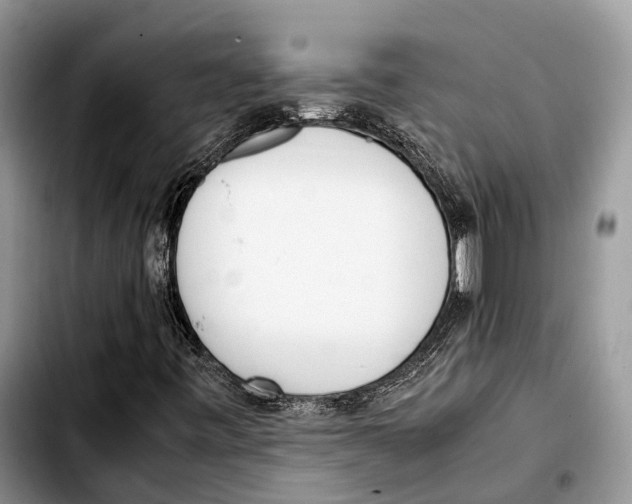 X0000103431443200810101031