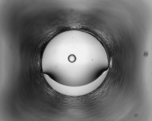 X0000103431444200810101031
