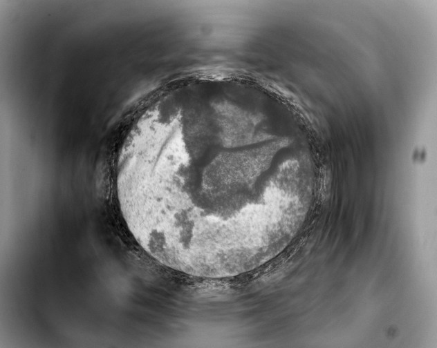 X0000103431446200810101031