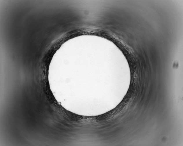 X0000103431447200810101031