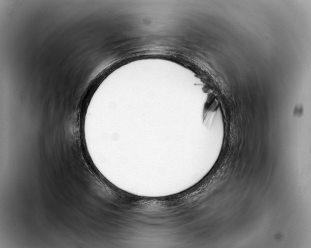X0000103431450200810101031