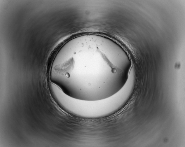 X0000103431452200810101031