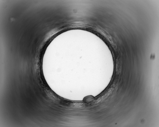 X0000103431453200810101031