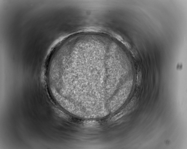X0000103431454200810101031