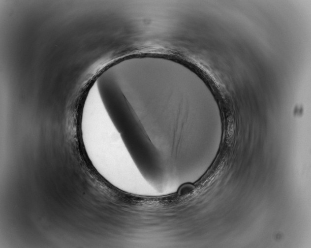 X0000103431455200810101031