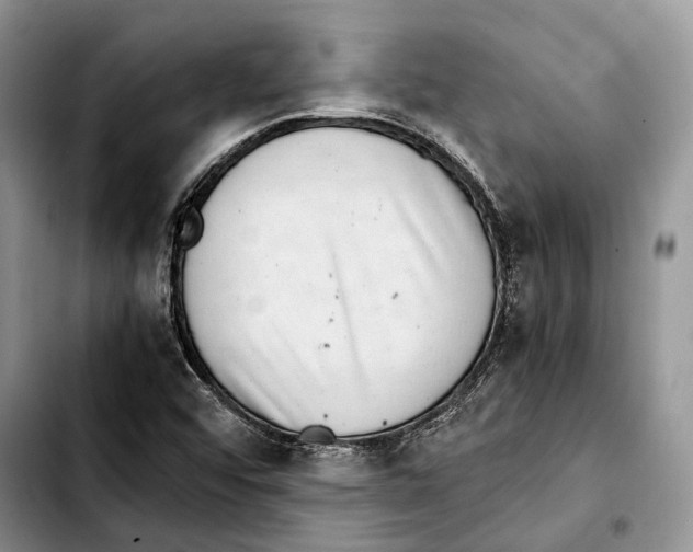 X0000103431456200810101031