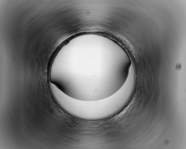 X0000103431457200810101031