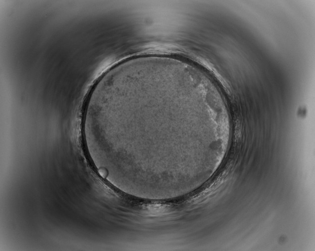 X0000103431459200810101031