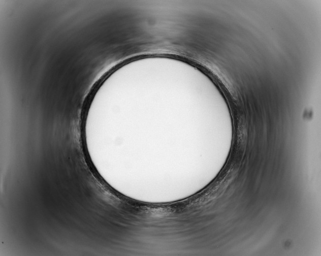 X0000103431460200810101031