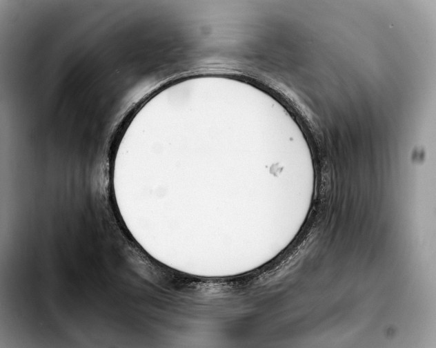 X0000103431461200810101031