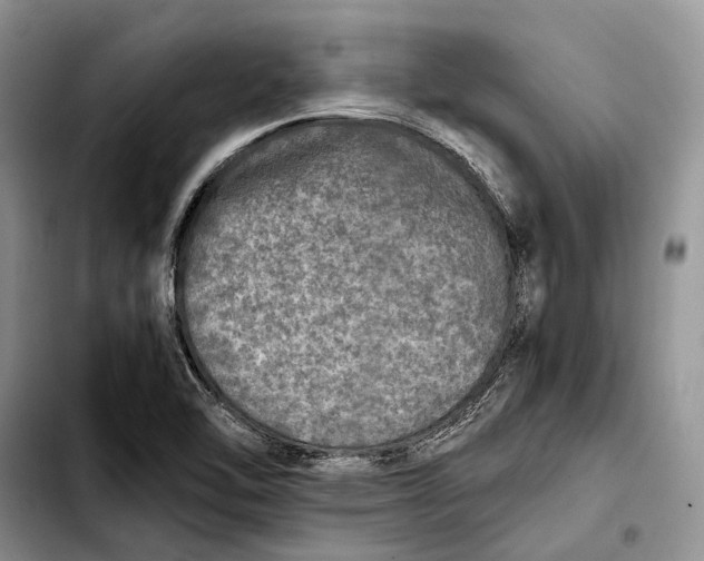 X0000103431462200810101031