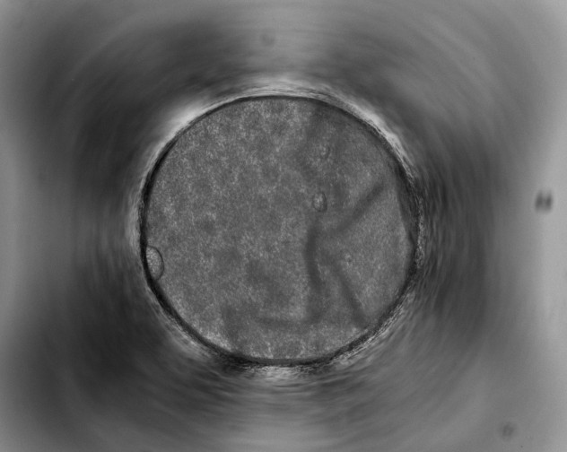 X0000103431463200810101031