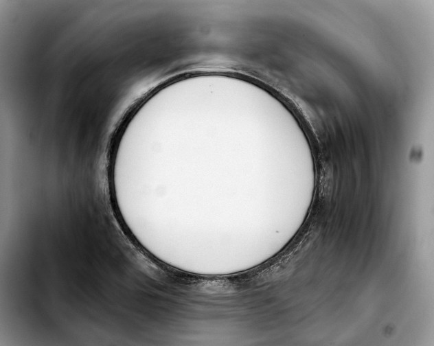 X0000103431464200810101031