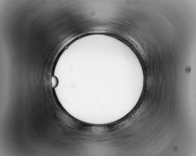 X0000103431465200810101031