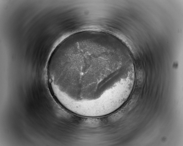 X0000103431466200810101031