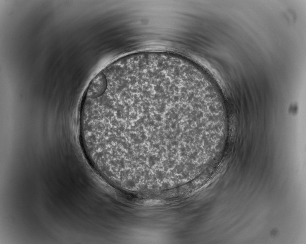 X0000103431467200810101031