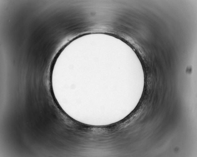 X0000103431469200810101031