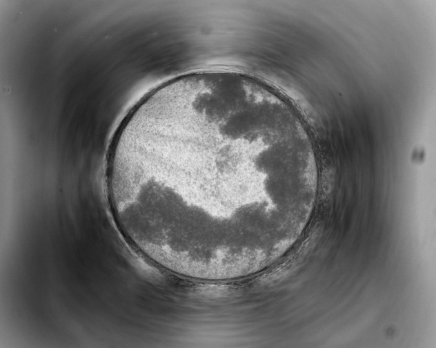 X0000103431470200810101031