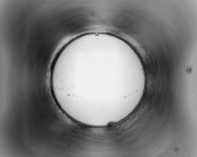 X0000103431472200810101031