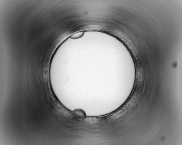 X0000103431473200810101031