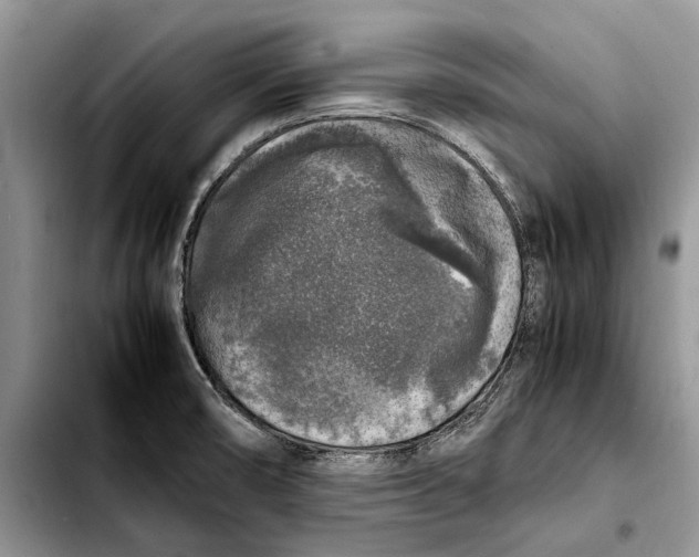 X0000103431474200810101031