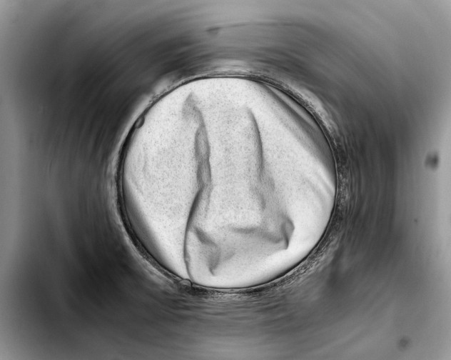 X0000103431475200810101031