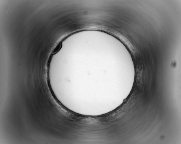 X0000103431476200810101031
