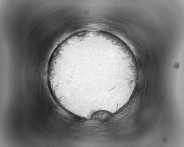 X0000103431477200810101031