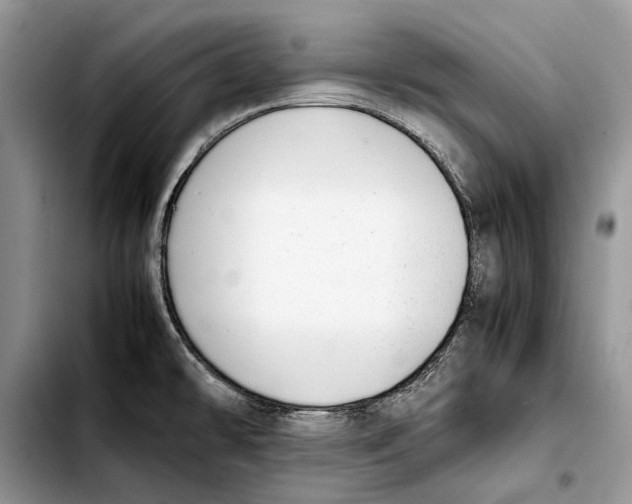 X0000103431478200810101031